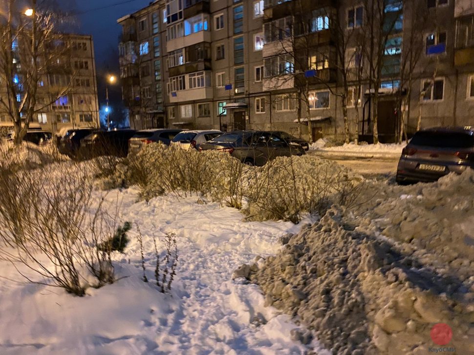 В Северодвинске снег свалили с дорог на кусты и деревья